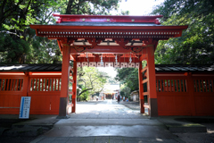 門