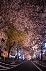 夜の渋谷のさくら通り