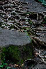 2024-08-24_105437_DSC_2779