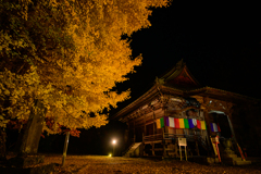 相棒