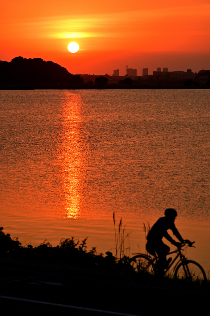 夕暮れのサイクリングロード