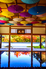 2025-11-15_150435_DSC_6255