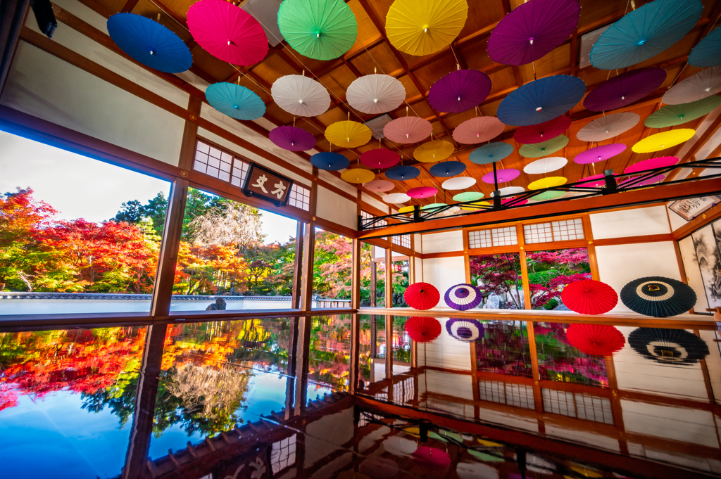 2025-11-15_144518_DSC_6226