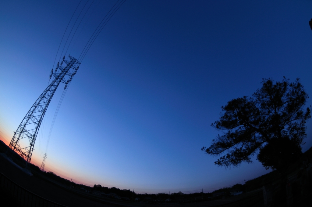 木と鉄塔と夕日