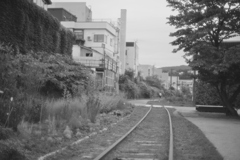 2023-08-08_181743_DSC_9229