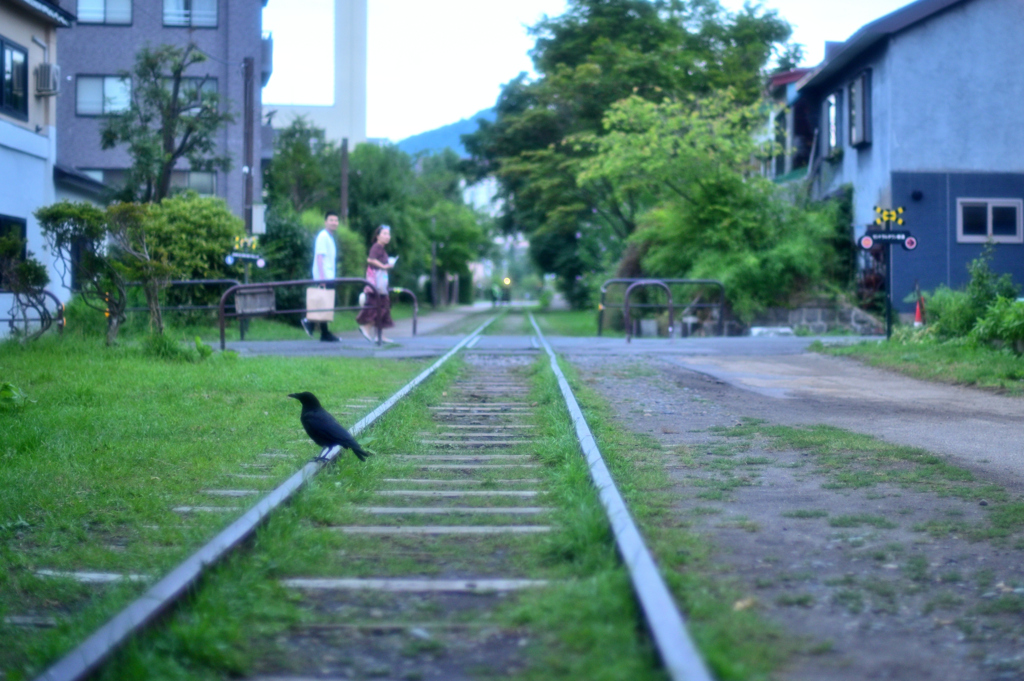 苦労、我関せず