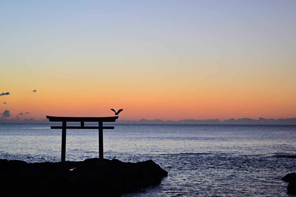 日の出を待つ鳥