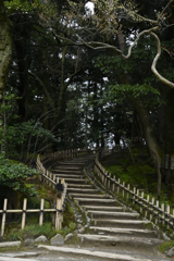 道
