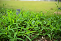 2022-07-30_064926_DSC_0047