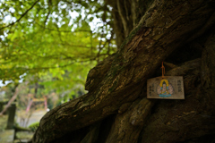 もしかして前にも同じ様な構図で撮ったかも？