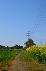 田舎のよくある風景