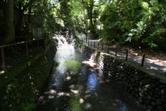 清流