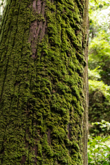 2024-08-24_104415_DSC_2760