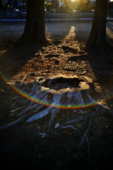 2023-06-03_181825_DSC_6337