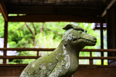 龍勢の狛犬