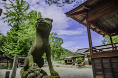 お散歩日和