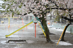 雪が降る