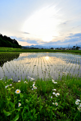 2023-05-27_180308_DSC_6132