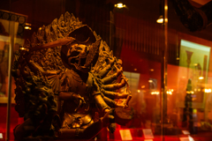 CHANDRA MAHAROSHAN