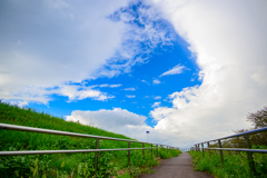 雨雲割く道