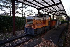 公園のトロッコ