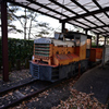 公園のトロッコ