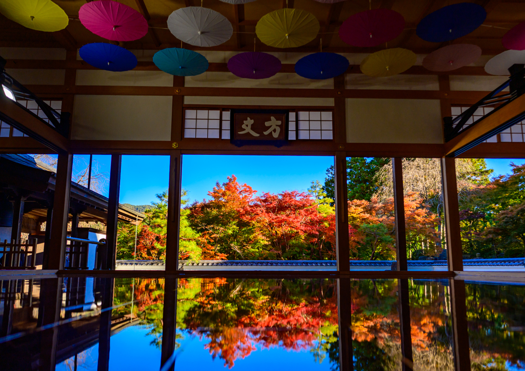 2025-11-15_145402_DSC_6235