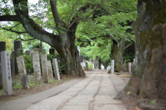 墓道