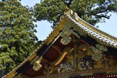 2016-05-22_092810__DSC1068_00003