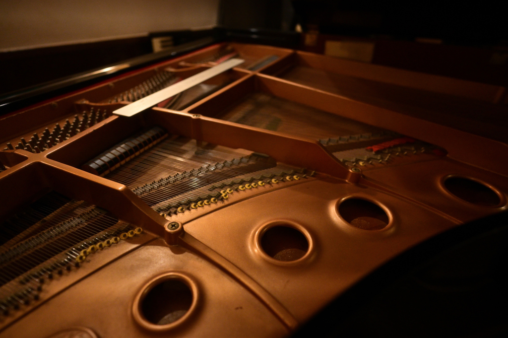 暖かな音の調べ