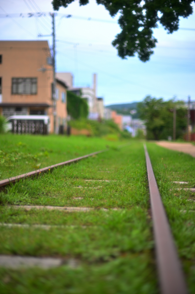 2023-08-08_181451_DSC_9228