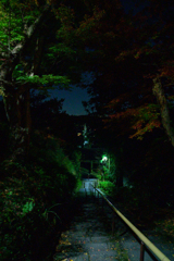 参道滑走路