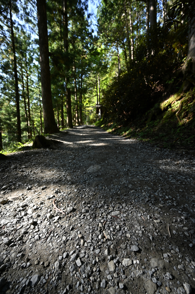 まだら道