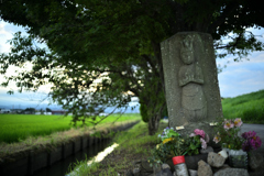 2022-07-23_182237_DSC_9062