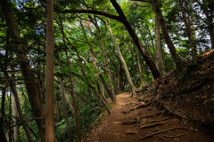 規律屹立