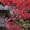 灯籠と紅葉