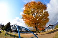 休日の公園