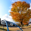 休日の公園