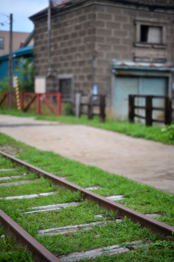 2023-08-08_182303_DSC_9246