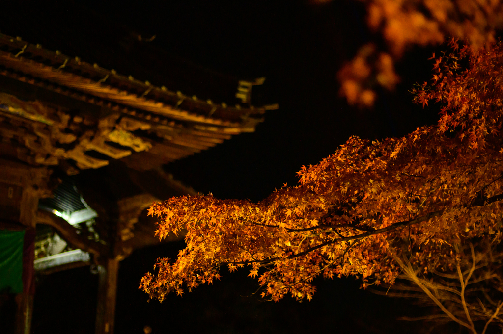 秋の夜長に