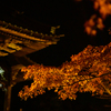 秋の夜長に