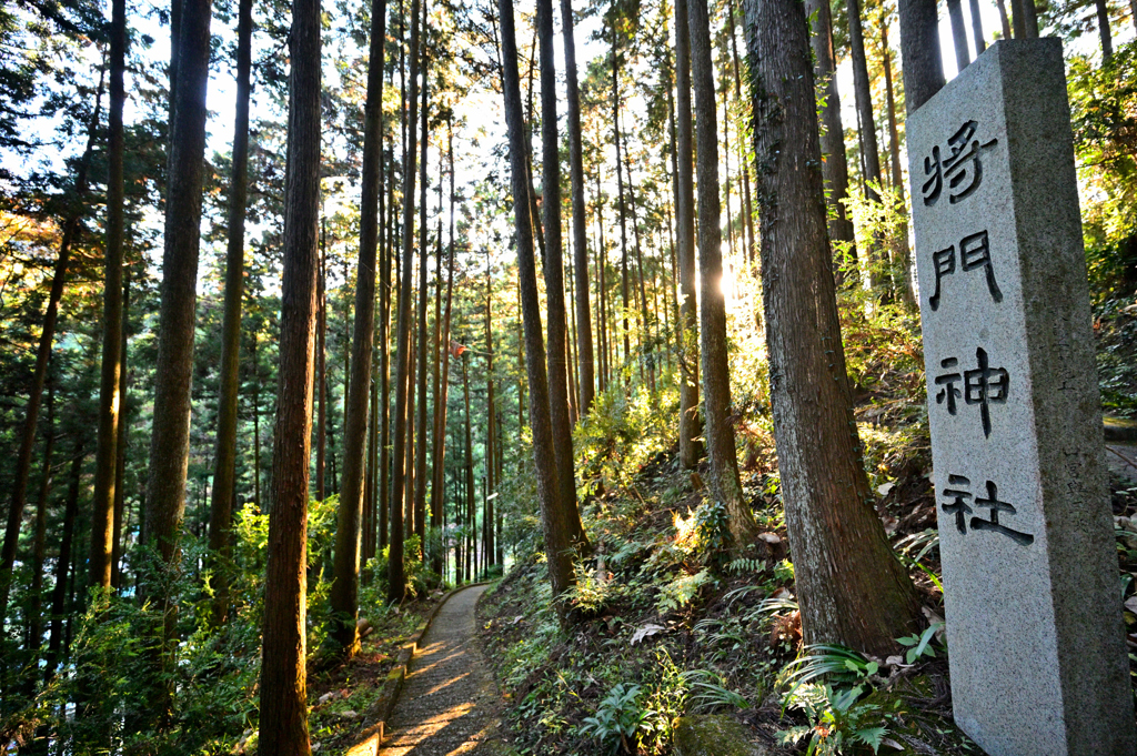 2023-11-14_151100_DSC_8491