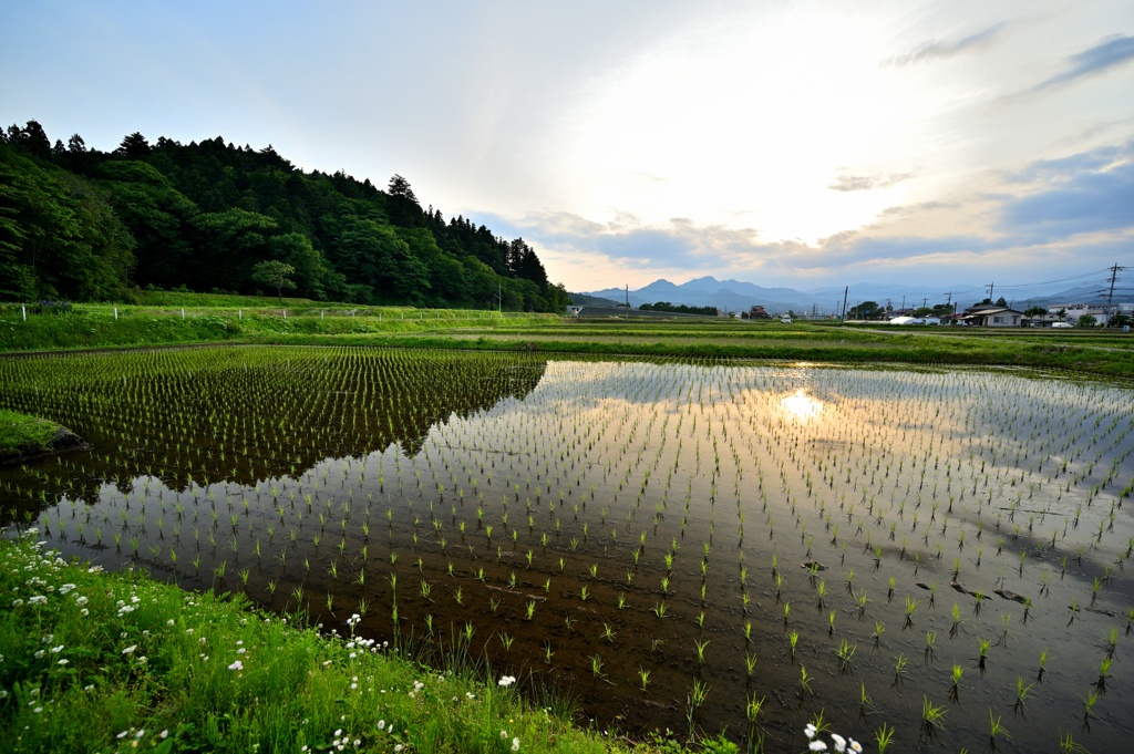 2023-05-27_175933_DSC_6127