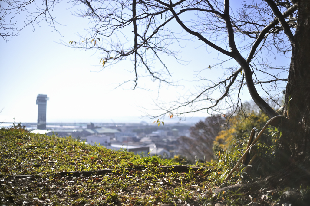 2023-12-09_103334_DSC_1338