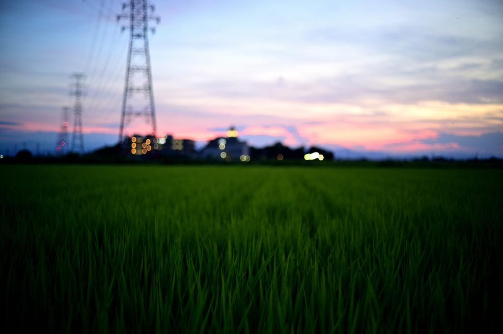 2022-07-24_191441_DSC_9212