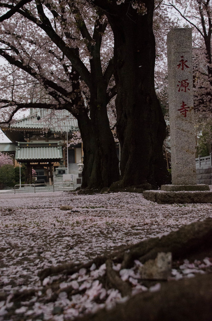 永源寺