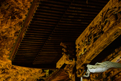 龍