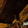 龍