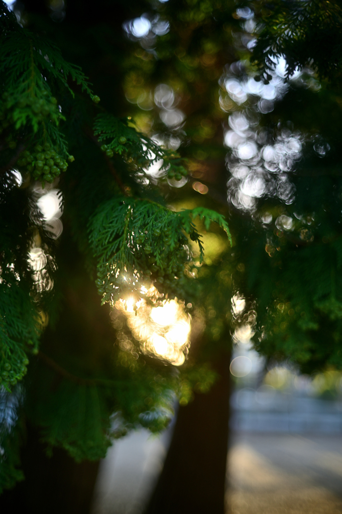 2023-06-03_181055_DSC_6293