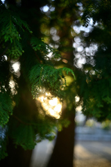 2023-06-03_181055_DSC_6293